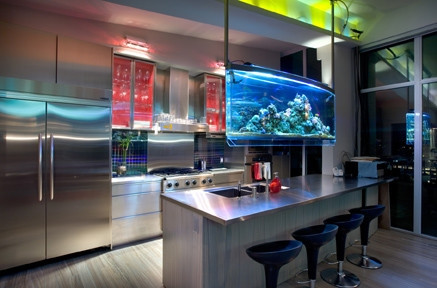 «Живой телевизор» в вашей кухне