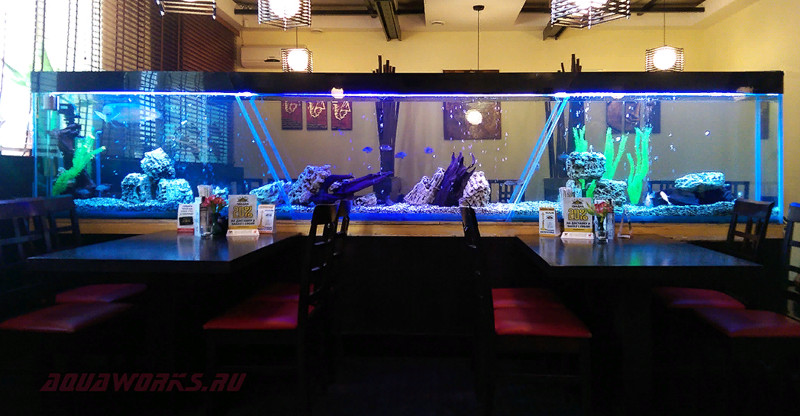 Нам удалось оперативно восстановить треснувшее дно аквариума в ресторане «Пекин» и укрепить массивную конструкцию, выполненную специалистами другой организации с нарушением технологии