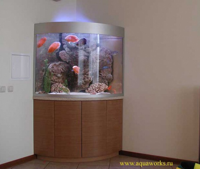 Большой угловой аквариум на столешнице из искусственного камня – настоящее украшение и ключевой элемент интерьера уютной малогабаритной квартиры