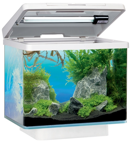 Juwel предлагает на выбор более 40 моделей аквариумов