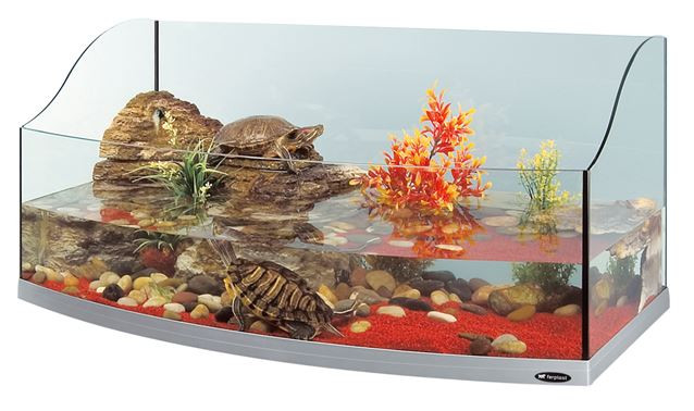 Красноухие черепахи в аквариуме