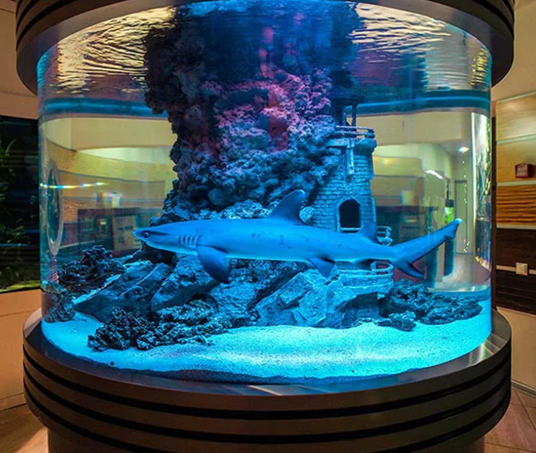 Круглый аквариум для акулы