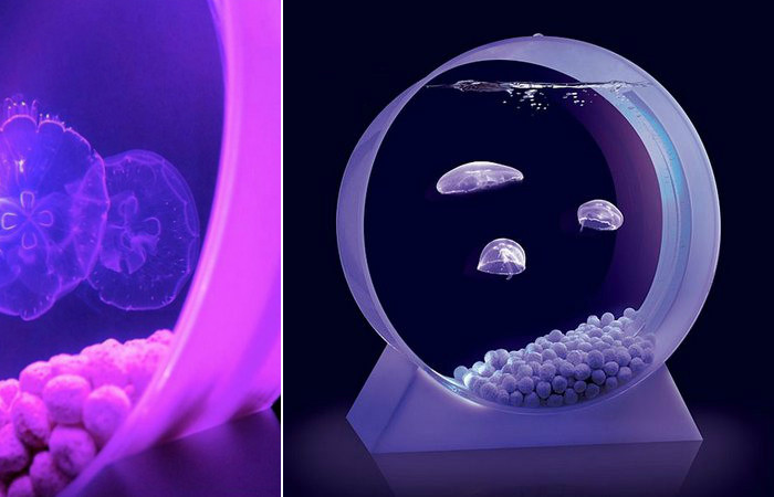 Медузы в аквариуме с подсветкой