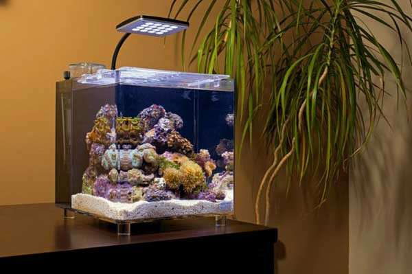 Морской нано-аквариум