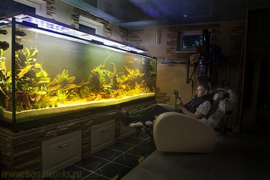 Наблюдение за аквариумом