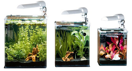 Нано-аквариум для креветок