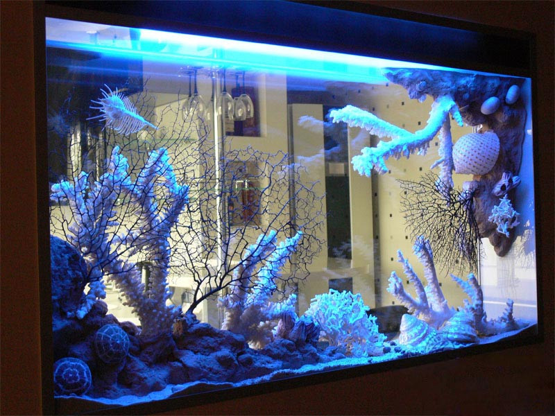 Освещение  в сухом аквариуме