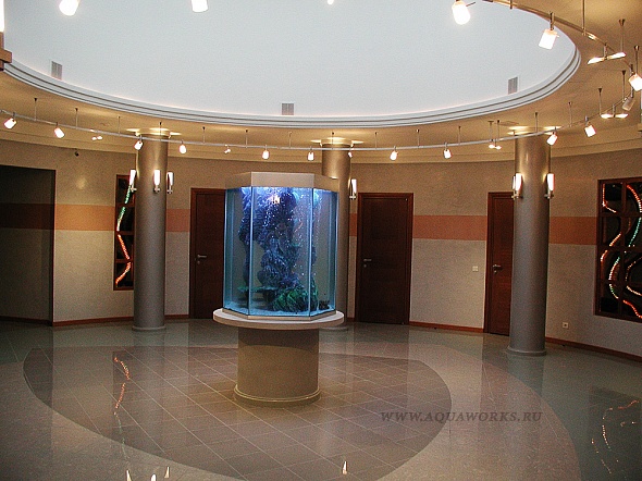 Почему аквариумы в офисе стали популярным трендом? 