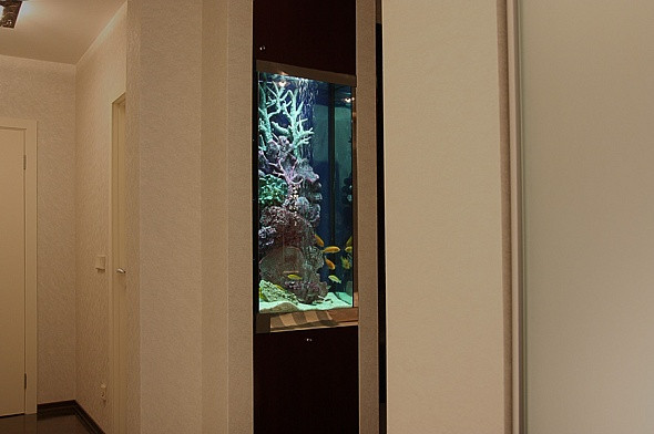 Прямоугольный аквариум-колонна