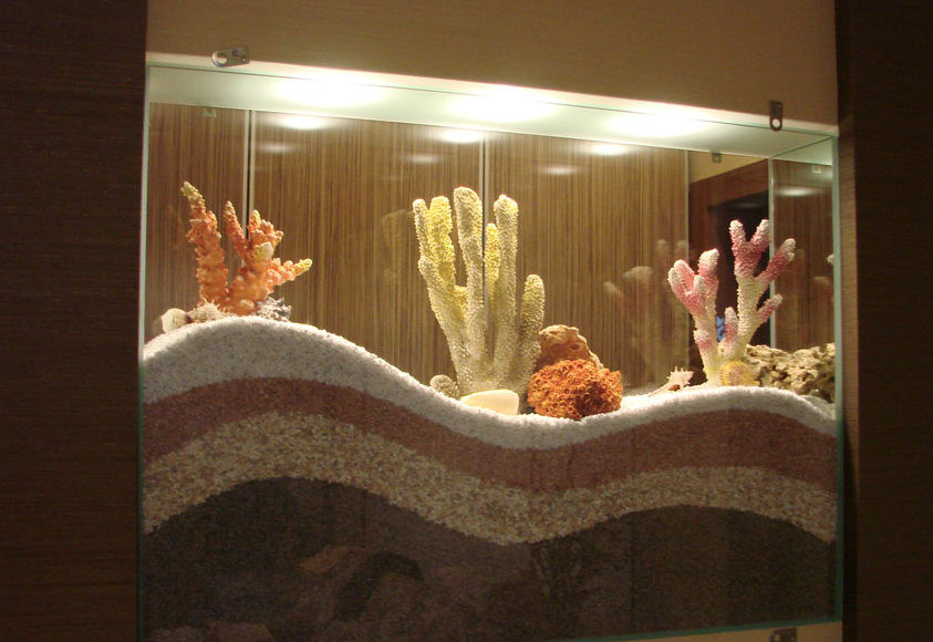 Разнообразие композиций в сухом аквариуме