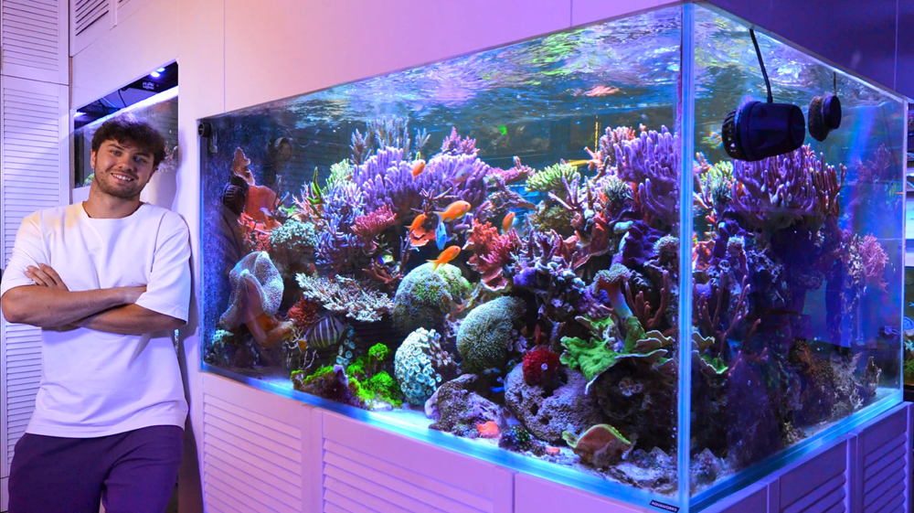 ���������� AquaWorks ����� � ������� ����������