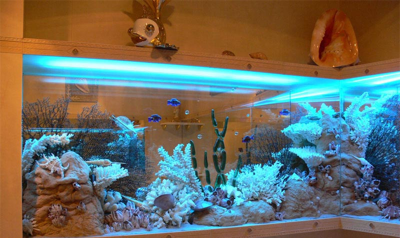 Сухой аквариум в помещении