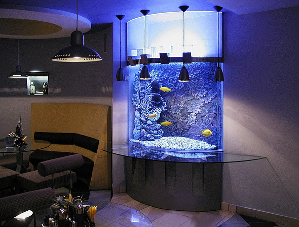 Угловой аквариум с объемными декорациями