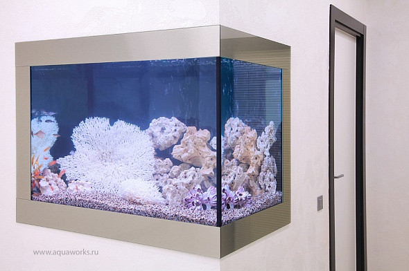 Угловой аквариум, встроенный в стену