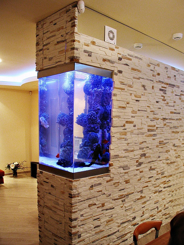 Встроенный синий аквариум