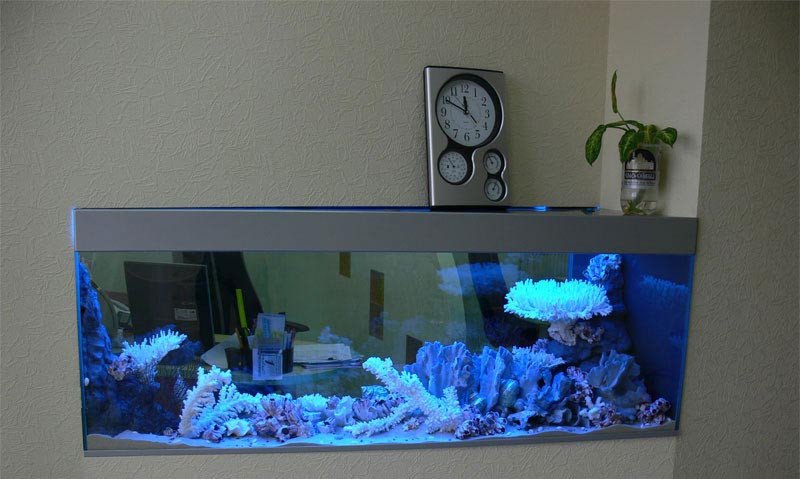 Встроенный сухой аквариум