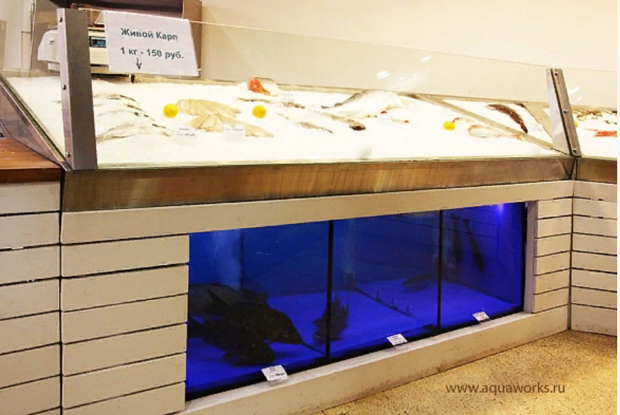 Встроенный в прилавок бассейн с живой рыбой – органичный элемент интерьера торгового зала