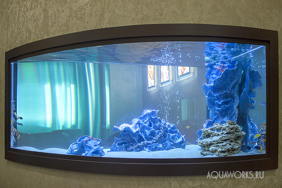 Выгнутый аквариум