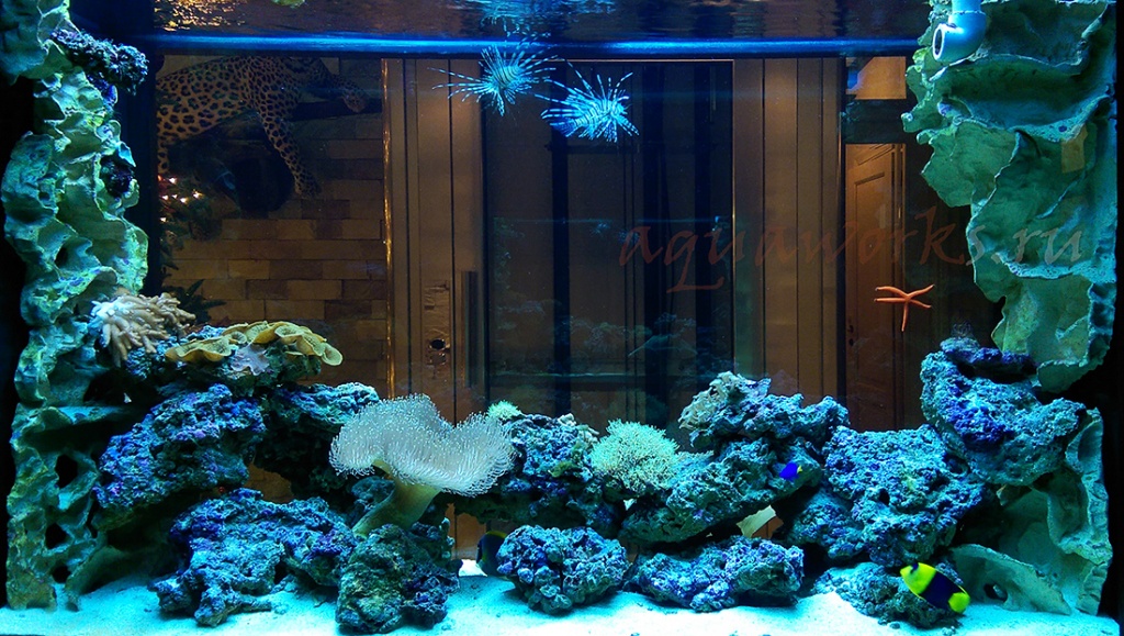 Морской аквариум в загородном доме
