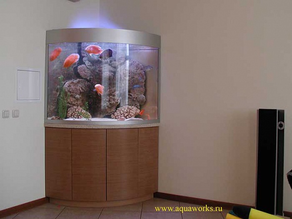 Большой угловой аквариум в квартире