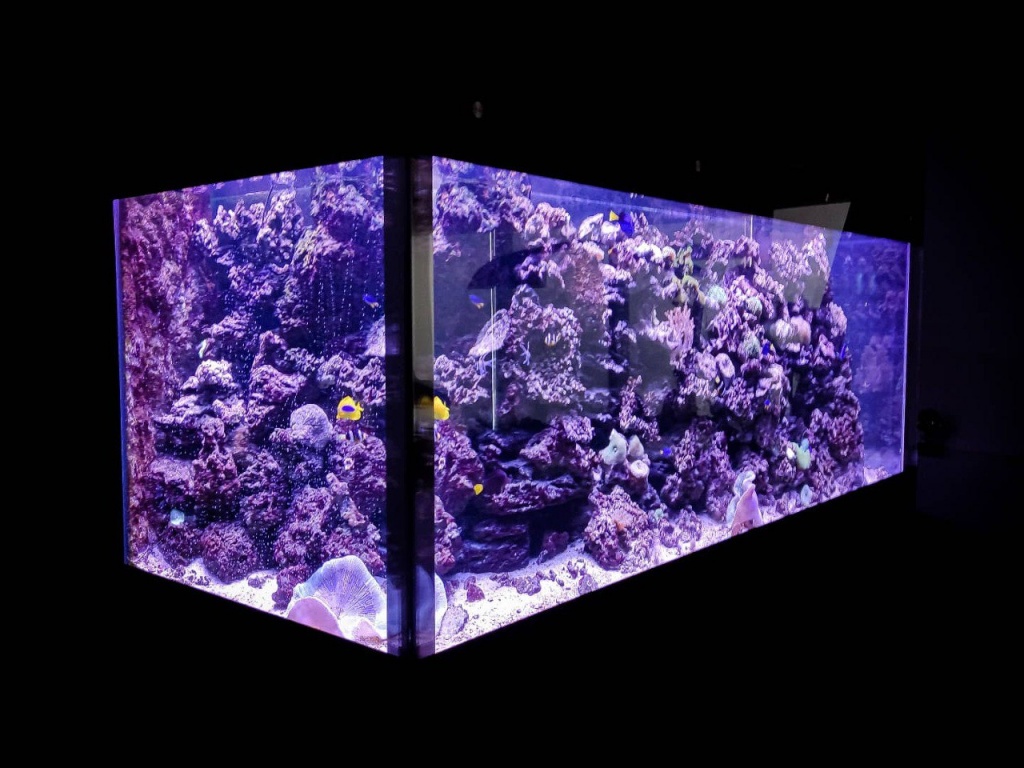 Морской аквариум на 2 тонны