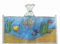 Обустройство аквариума. План из 5 шагов