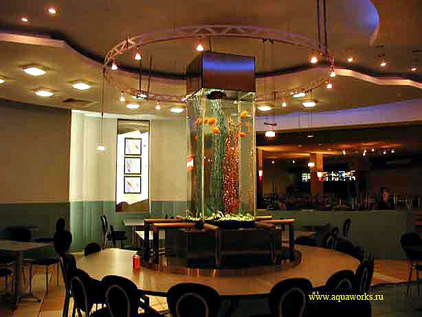 Шоу-аквариум в ресторане Капитан