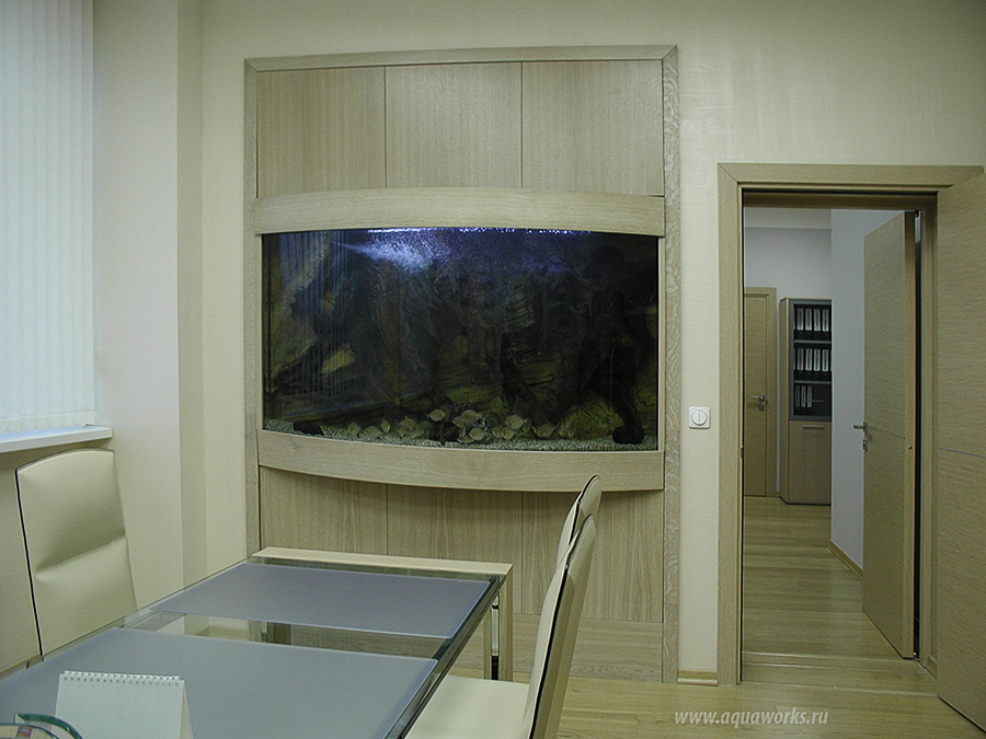 Панорамный аквариум в стене.