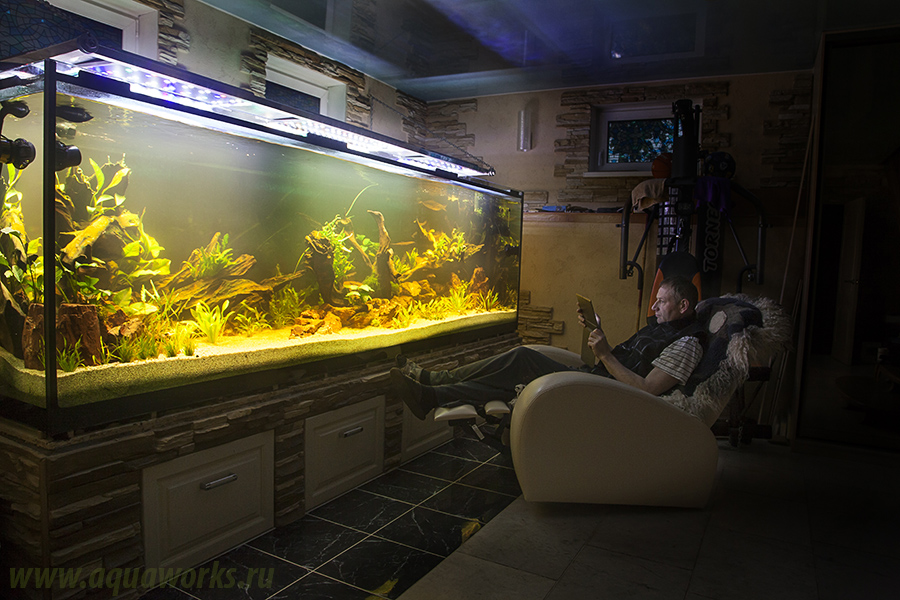 Аквасейпинг аквариума в Москве купить