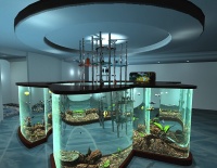 Вписываем аквариум в интерьер квартиры, особняка или офиса