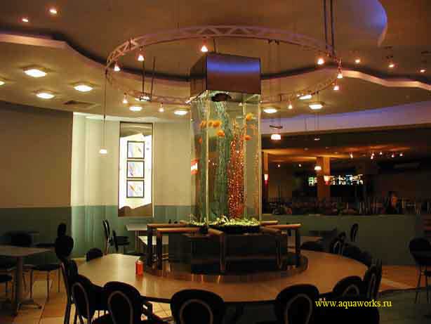 Шоу-аквариум в ресторане "Капитан"