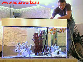 обслуживание морских аквариумов